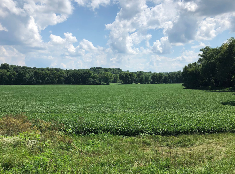 Montgomery County Farm, 74 Acres For Sale