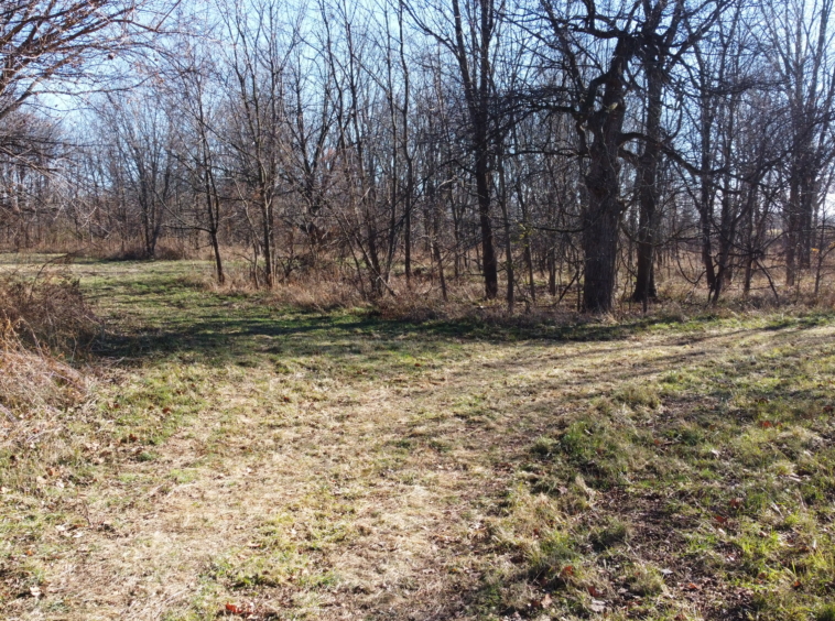 Montgomery County Land For Sale