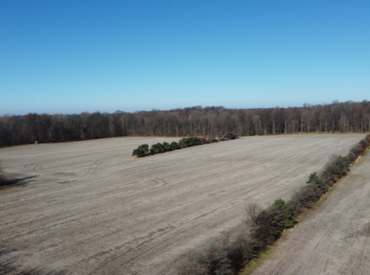 Montgomery County Land For Sale