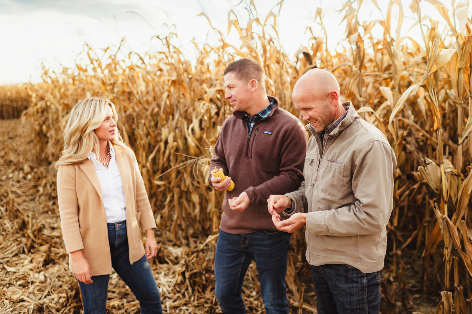 Hageman Realty Farm Land Real Estate for Sale in Indiana Illinois