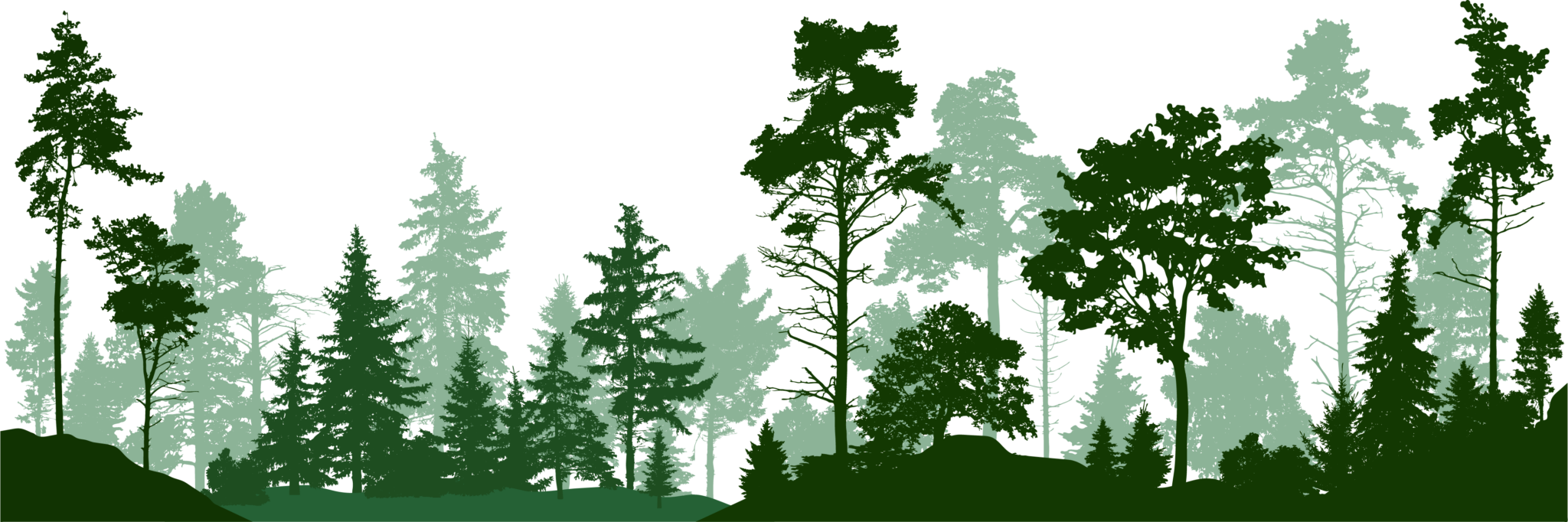 TIMBER MANAGEMENT Hageman Realty, Inc.