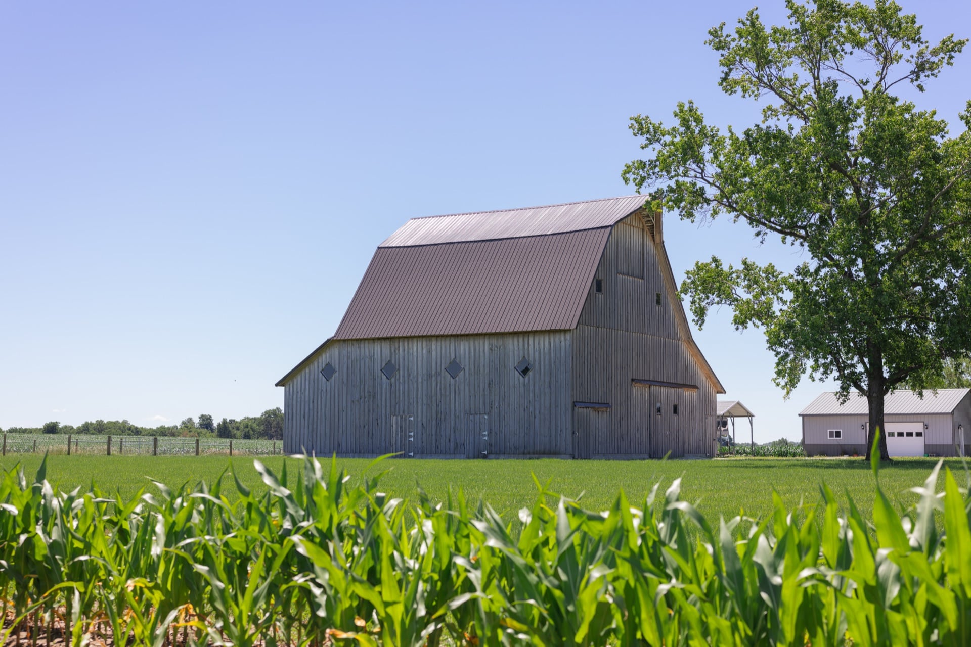 Weathered gray barn beside a cornfield in Parke County, Indiana
