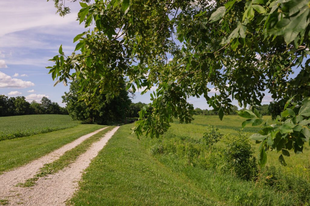 Gravel lane between crop fields, from Hageman Realty's post on absentee landowner farm management
